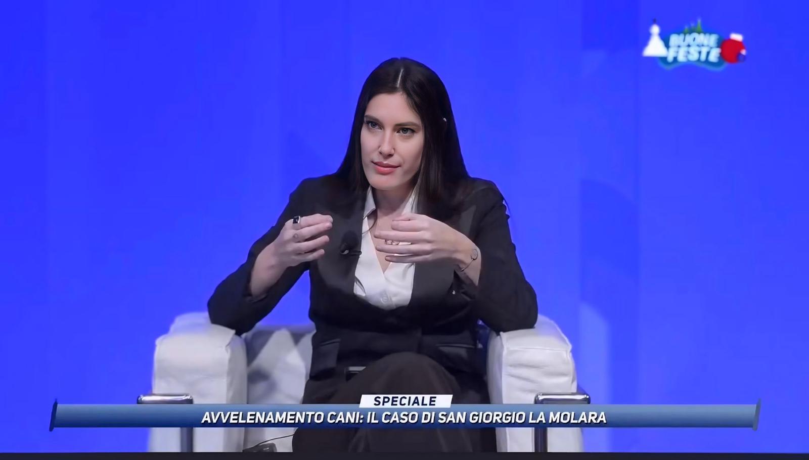 Caso randagismo a San Giorgio la Molara: Petrone ribadisce la necessità di chiarezza e rispetto dei ruoli