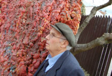 Avellino, il 2 gennaio riprende il viaggio dell’Albero Vagabondo contro i rifiuti: presente il maestro Spiniello