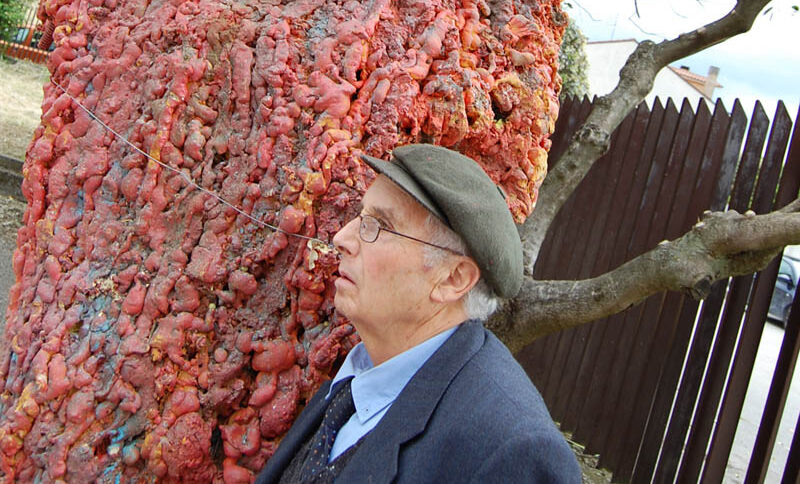 Avellino, il 2 gennaio riprende il viaggio dell’Albero Vagabondo contro i rifiuti: presente il maestro Spiniello