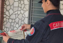 Baiano, Carabinieri sequestrano un area abusiva non idonea al consumo di alimenti