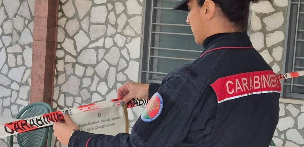 Baiano, Carabinieri sequestrano un area abusiva non idonea al consumo di alimenti