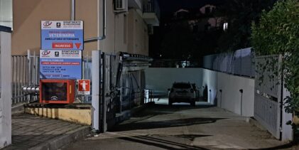 Benevento, associazioni animaliste contro l’ASL: “Sterilizzazioni sospese dal 23 gennaio, situazione gravissima”