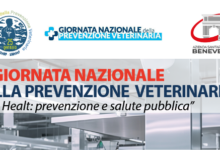 One Health: prevenzione e salute pubblica