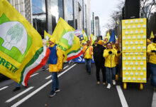 Made in Italy,  Coldiretti: nel 2025 invasi i mercati da mezzo milardo di chili di olio straniero