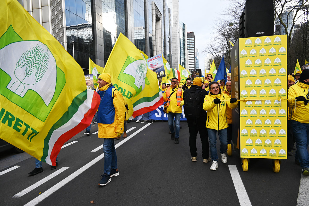 Made in Italy,  Coldiretti: nel 2025 invasi i mercati da mezzo milardo di chili di olio straniero