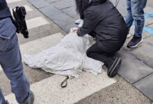 Avellino, auto pirata travolge due cani sulle strisce pedonali: uno muore, l’altro lotta per la vita