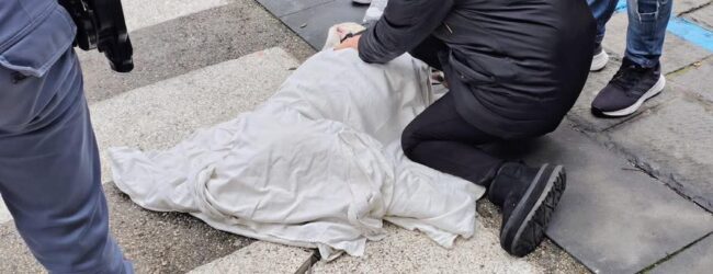 Avellino, auto pirata travolge due cani sulle strisce pedonali: uno muore, l’altro lotta per la vita