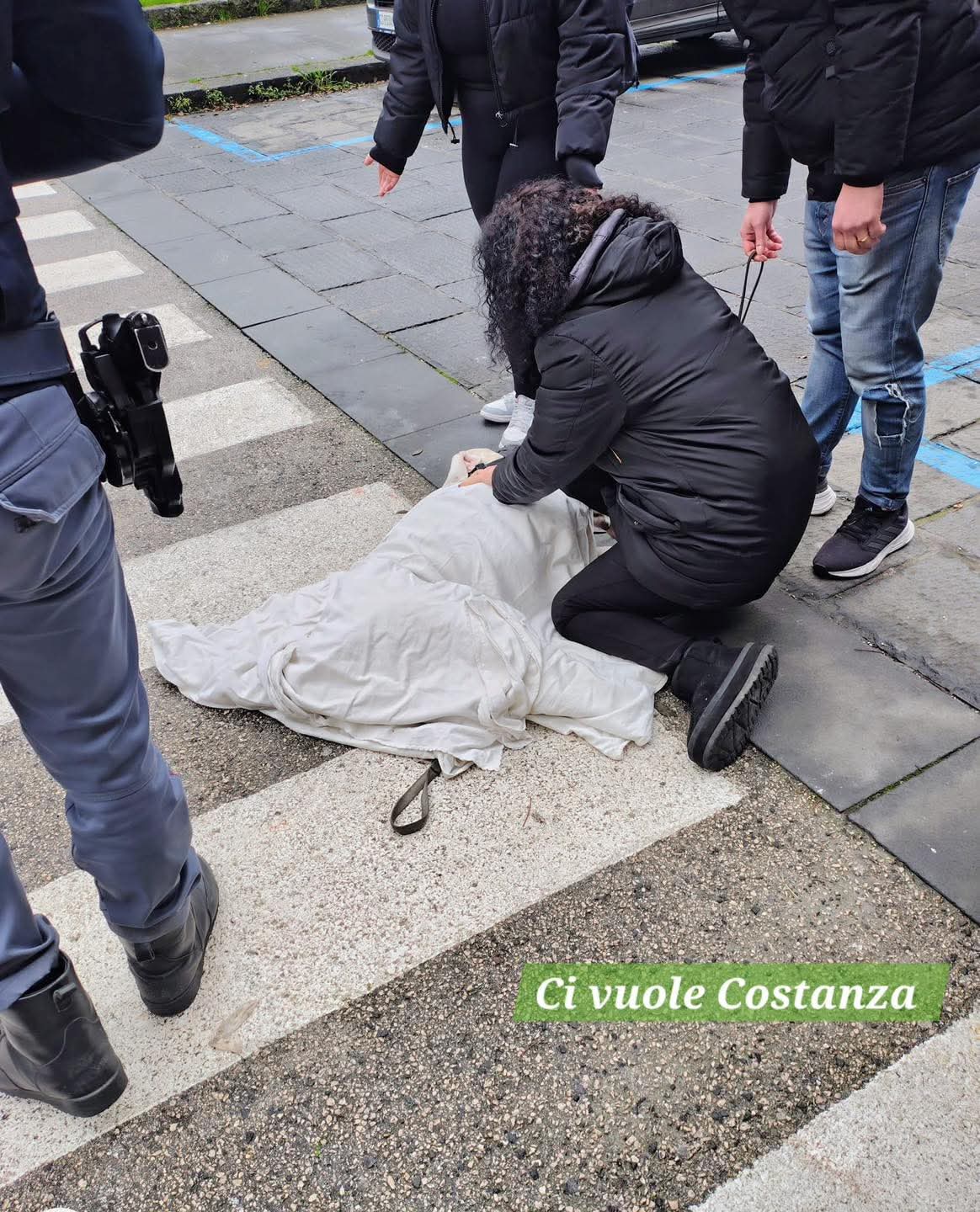 Avellino, auto pirata travolge due cani sulle strisce pedonali: uno muore, l’altro lotta per la vita