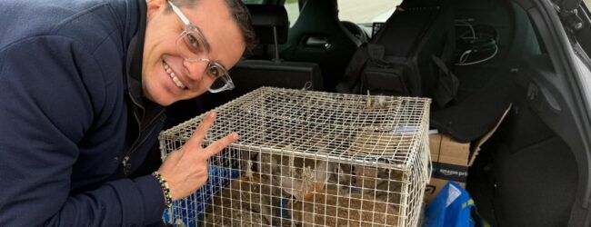 Conigli salvati dalle grinfie dell’allevatore violento: il grazie di Enrico Rizzi ai Carabinieri