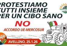 “Senza agricoltura non c’è territorio, senza territorio non c’è futuro”: gli agricoltori avellinesi contro l’accordo UE-Mercosur