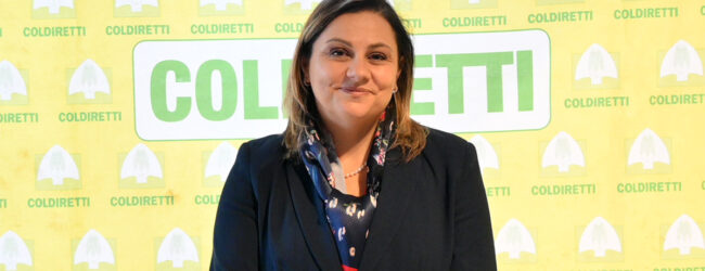 Legge sulla Montagna, Coldiretti Campania plaude l’assessore all’Agricoltura Serluca in difesa dei territori fragili