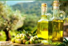 Olio in Campania, Benevento e Avellino tra le province leader per superficie in produzione