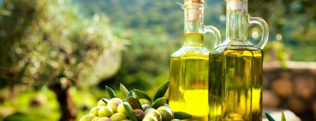 Olio in Campania, Benevento e Avellino tra le province leader per superficie in produzione