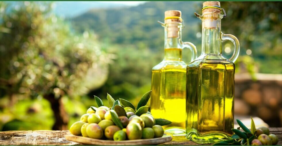 Olio in Campania, Benevento e Avellino tra le province leader per superficie in produzione