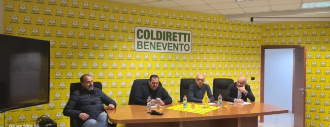 Coldiretti Benevento: confronto con gli allevatori di bovini da latte sulle criticità del comparto lattiero-caseario sannita