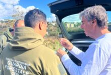 Guardia Forestale ODV replica alle associazioni: “Nessun disservizio, interventi sempre garantiti”