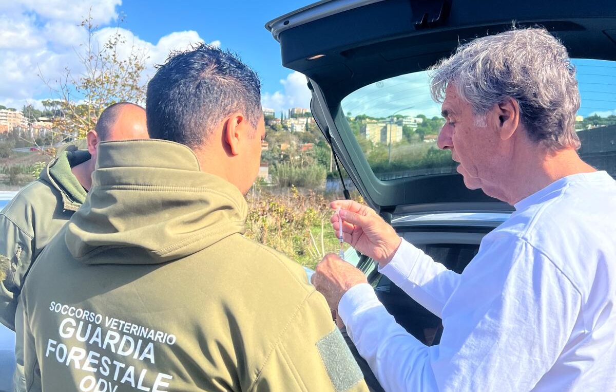 Guardia Forestale ODV replica alle associazioni: “Nessun disservizio, interventi sempre garantiti”