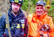 Villanova del Battista (AV), cane cade in un dirupo durante una battuta di caccia: salvato dai Vigili del Fuoco
