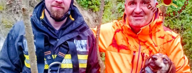 Villanova del Battista (AV), cane cade in un dirupo durante una battuta di caccia: salvato dai Vigili del Fuoco