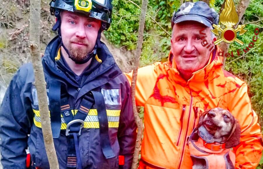 Villanova del Battista (AV), cane cade in un dirupo durante una battuta di caccia: salvato dai Vigili del Fuoco