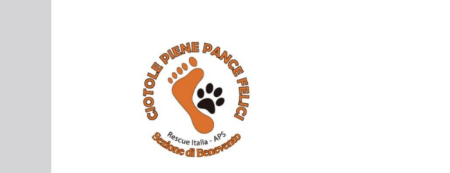 Calvi (BN), cane vagante microchippato lasciato senza assistenza: la denuncia di un’associazione animalista