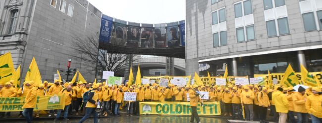 Cibo e concorrenza sleale, mobilitazione Coldiretti