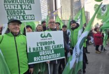 Mercosur: Cia, ascoltati dal Parlamento Ue. Invio alla Corte di Giustizia passaggio utile. Fusco (Cia Campania): “Segnale importante, ora tutele vere per agricoltori e territori”