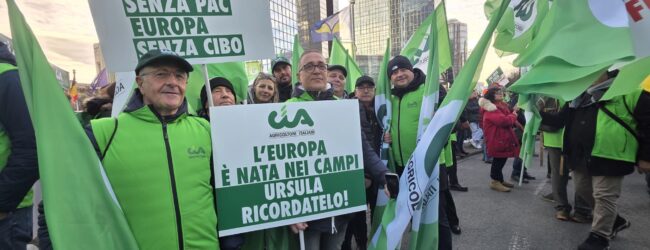 Mercosur: Cia, ascoltati dal Parlamento Ue. Invio alla Corte di Giustizia passaggio utile. Fusco (Cia Campania): “Segnale importante, ora tutele vere per agricoltori e territori”