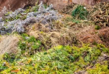 Cia Campania: gestione dei rifiuti agricoli, avanti sulla semplificazione e meno vincoli per le imprese