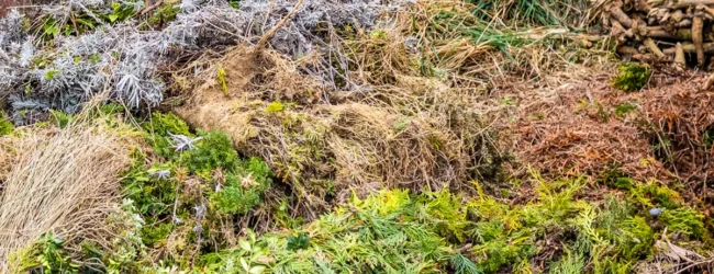 Cia Campania: gestione dei rifiuti agricoli, avanti sulla semplificazione e meno vincoli per le imprese