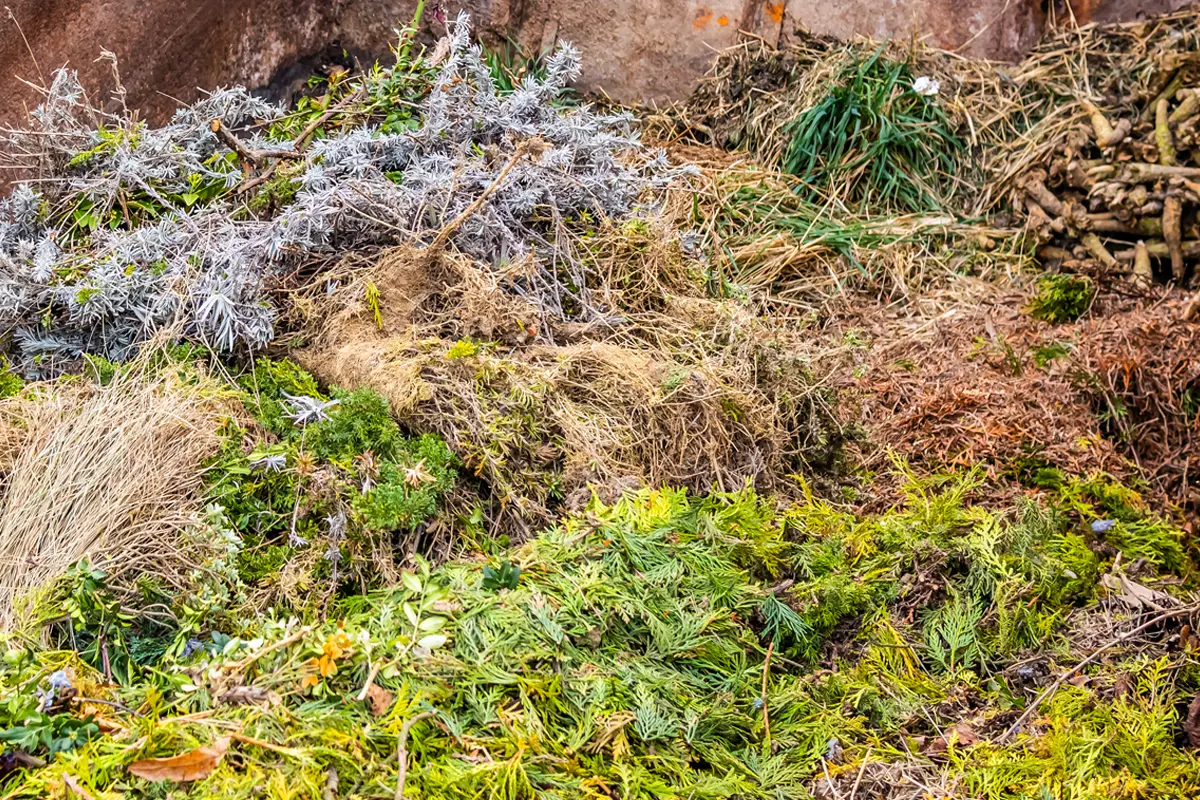 Cia Campania: gestione dei rifiuti agricoli, avanti sulla semplificazione e meno vincoli per le imprese