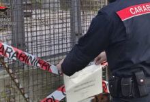 Flumeri: i Carabinieri sequestrano un capannone abusivo di circa 400 metri quadrati
