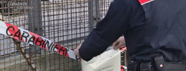 Flumeri: i Carabinieri sequestrano un capannone abusivo di circa 400 metri quadrati
