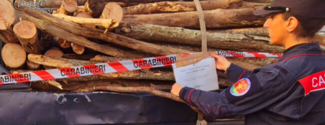 Mugnano del Cardinale: denunciato dai Arma dei Carabinieri per furto di legna in area ad alto rischio frana