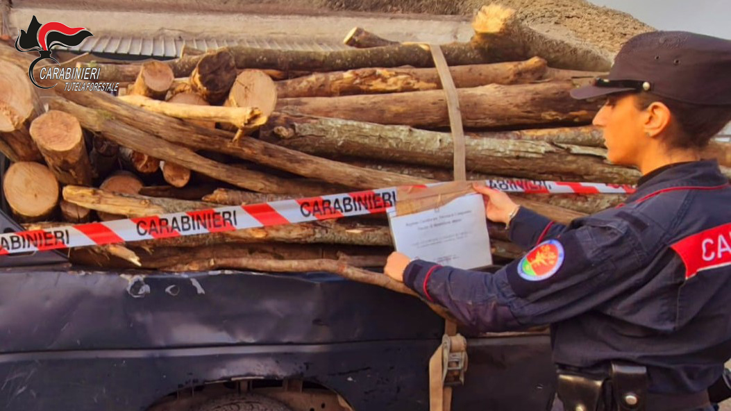 Mugnano del Cardinale: denunciato dai Arma dei Carabinieri per furto di legna in area ad alto rischio frana