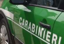 Solofra e Ospedaletto d’Alpinolo, controlli ambientali dei Carabinieri Forestali: due denunce e un sequestro