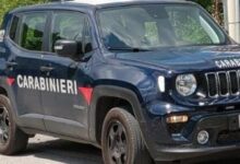 Calabritto| Operaio morto travolto da un albero di alto fusto