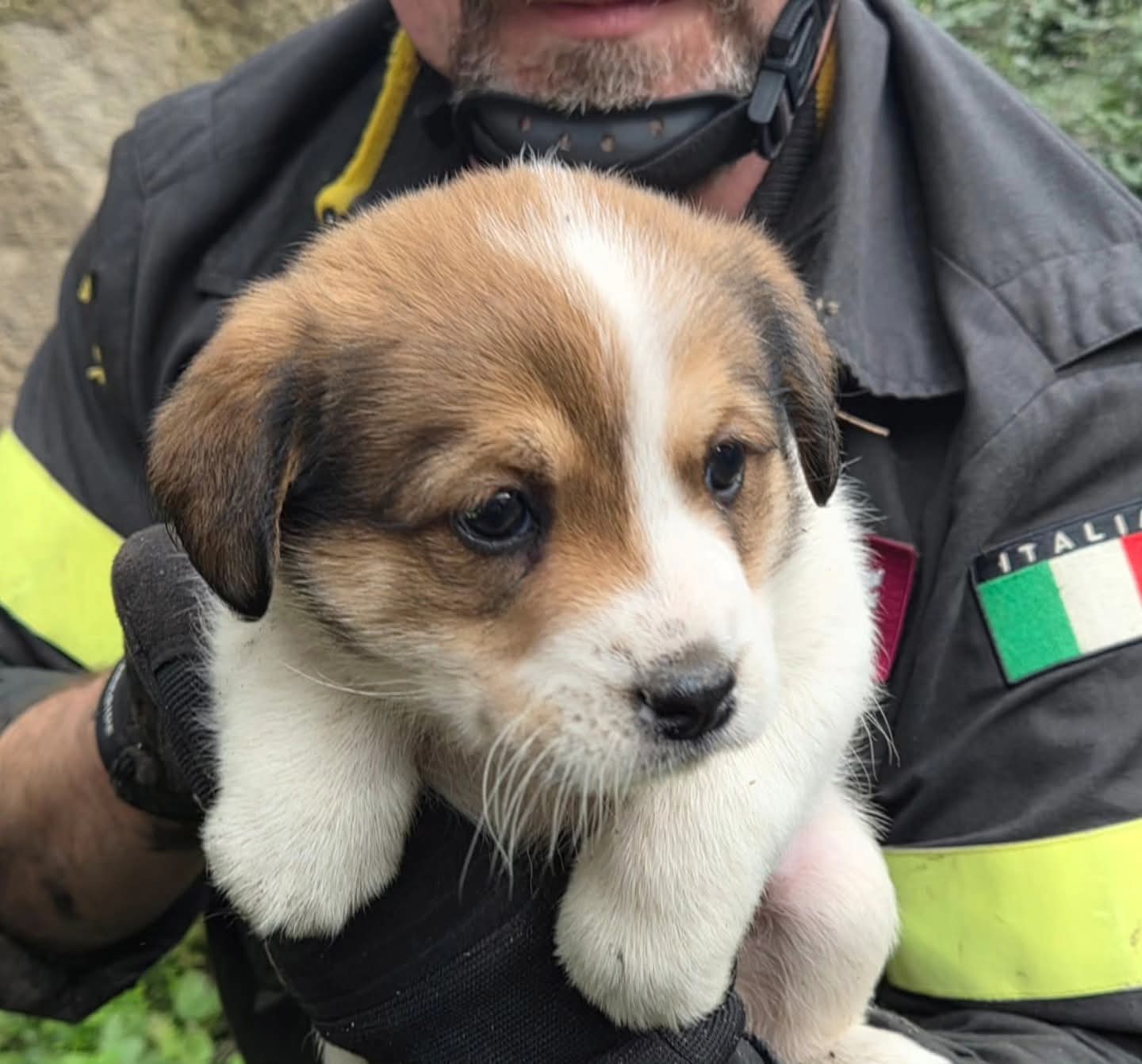 FB_IMG_1771273765221