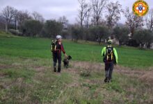 Calvisi: uomo scomparso, nessuna traccia nonostante le intense ricerche