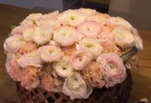 Tutti pazzi per i ranuncoli, a San Valentino vincono le produzioni Made in Campania