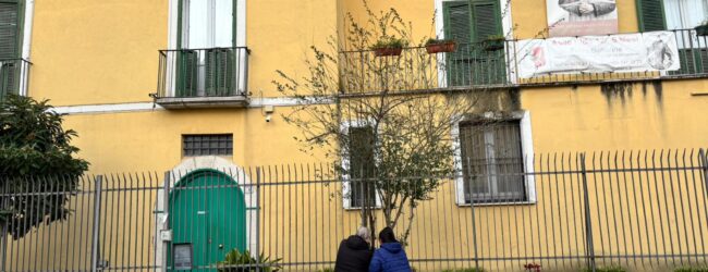 Maltrattamenti all’asilo nido: ferma condanna dell’associazione presidi e solidarietà alle famiglie