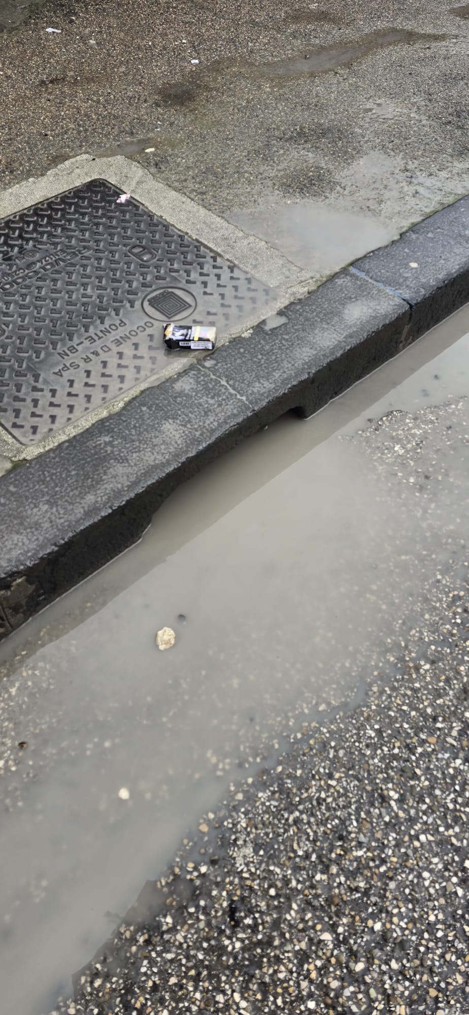 WhatsApp Image 2026-02-12 at 12.43.16