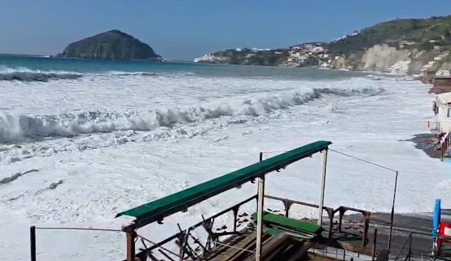 WhatsApp Image 2026-02-13 at 12.58.49(2)