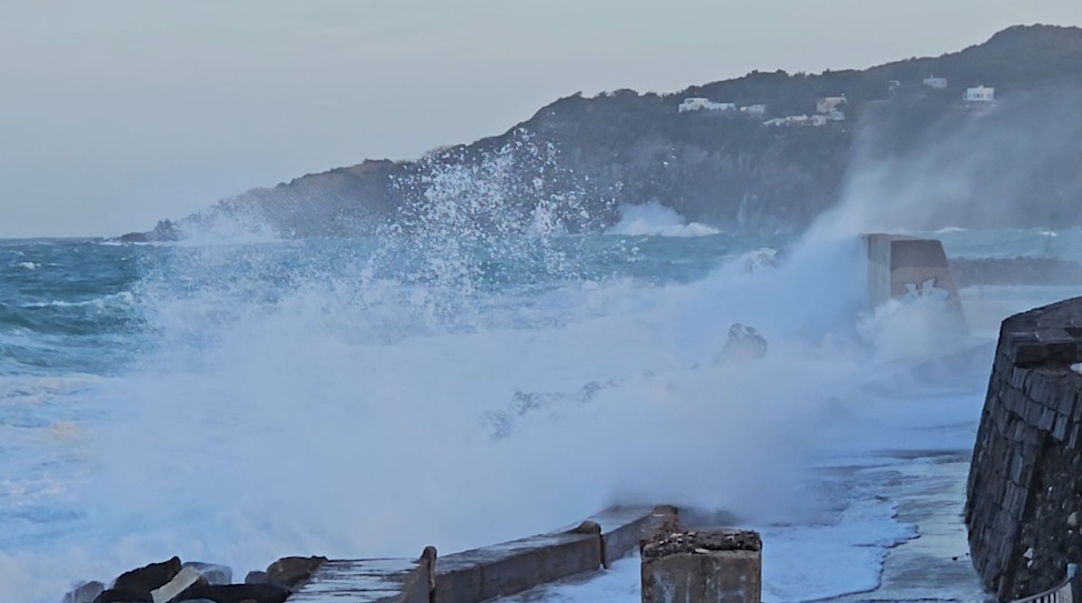 WhatsApp Image 2026-02-13 at 12.58.49(3)