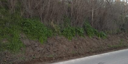 I Consiglieri Comunali di Paduli segnalano gestione impropria dei materiali di risulta sulla SS 90 Bis