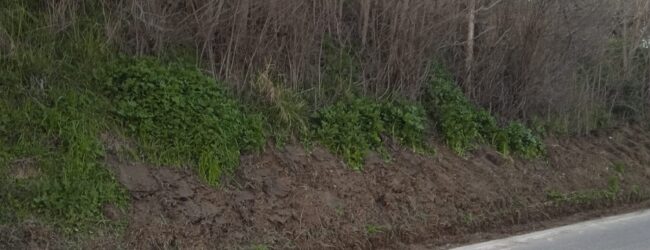 I Consiglieri Comunali di Paduli segnalano gestione impropria dei materiali di risulta sulla SS 90 Bis