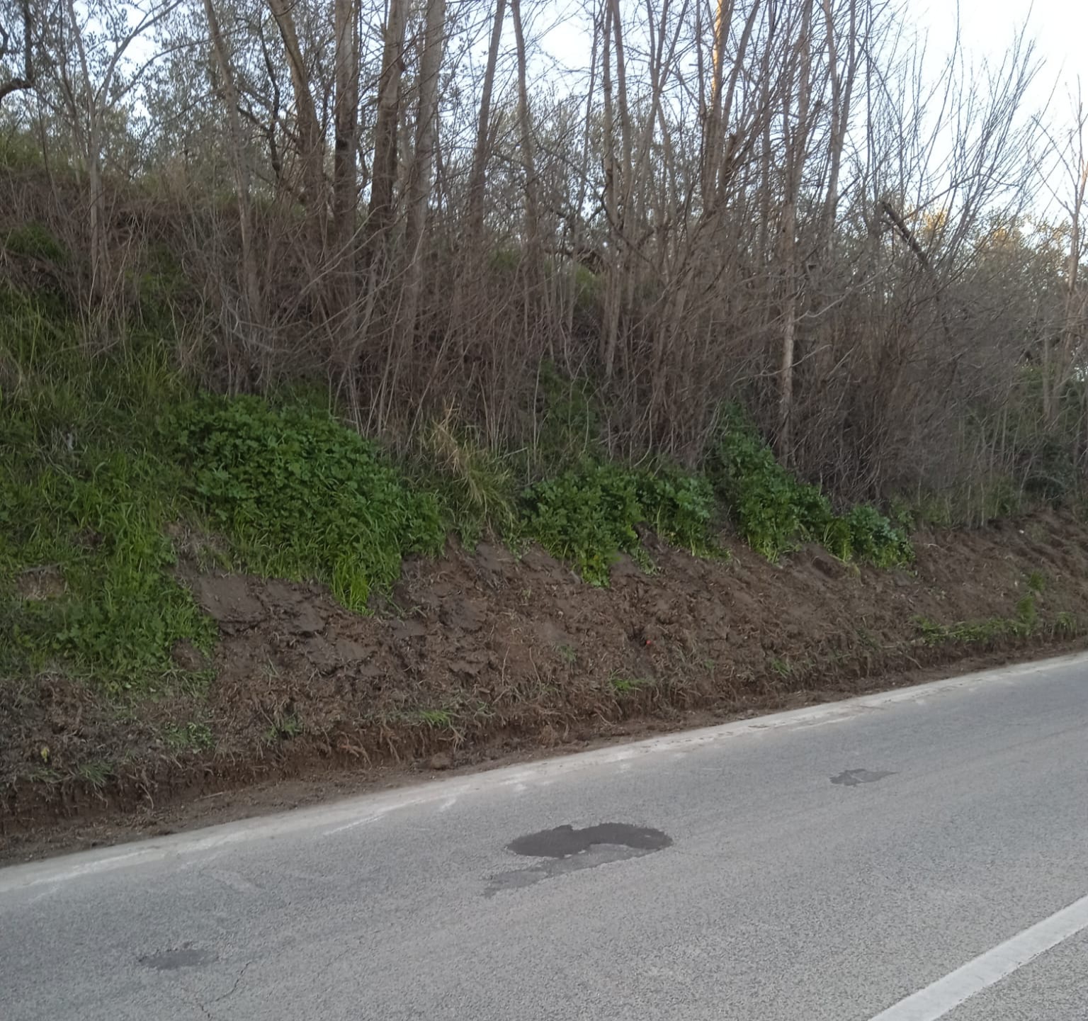 I Consiglieri Comunali di Paduli segnalano gestione impropria dei materiali di risulta sulla SS 90 Bis