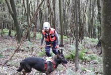 Sant’Agata dei Goti, 14enne scomparso: ricerche in corso
