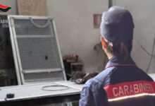 Mugnano del Cardinale: gestione illecita di rifiuti speciali, i Carabinieri denunciano un artigiano del posto