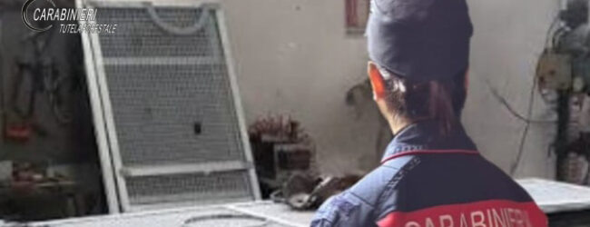 Mugnano del Cardinale: gestione illecita di rifiuti speciali, i Carabinieri denunciano un artigiano del posto